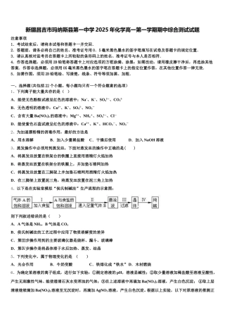 新疆昌吉市玛纳斯县第一中学2025年化学高一第一学期期中综合测试试题含解析