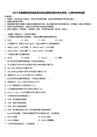 2025年新疆阿克苏地区库车县乌尊镇乌尊中学化学高一上期中统考试题含解析