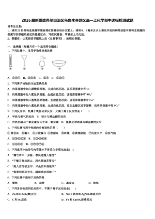 2026届新疆维吾尔自治区乌鲁木齐地区高一上化学期中达标检测试题含解析
