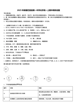 2025年新疆巴楚县第一中学化学高一上期中调研试题含解析