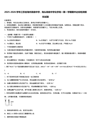 2025-2026学年江苏省海州高级中学、海头高级中学化学高一第一学期期中达标检测模拟试题含解析