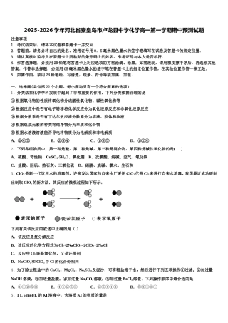 2025-2026学年河北省秦皇岛市卢龙县中学化学高一第一学期期中预测试题含解析