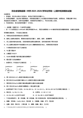 河北省馆陶县第一中学2025-2026学年化学高一上期中检测模拟试题含解析