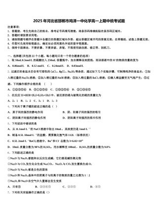 2025年河北省邯郸市鸡泽一中化学高一上期中统考试题含解析