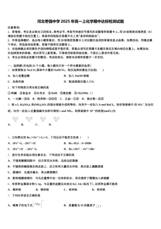 河北枣强中学2025年高一上化学期中达标检测试题含解析