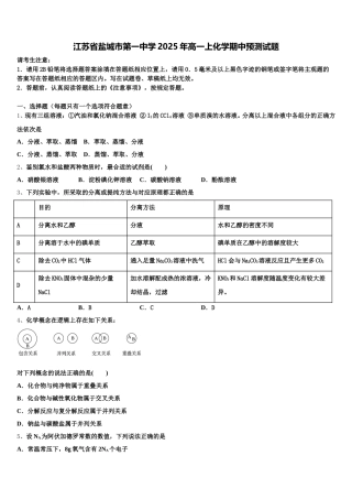 江苏省盐城市第一中学2025年高一上化学期中预测试题含解析