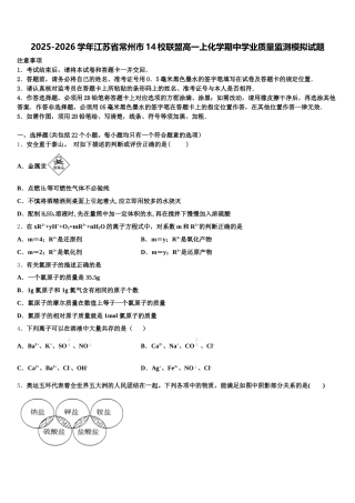 2025-2026学年江苏省常州市14校联盟高一上化学期中学业质量监测模拟试题含解析