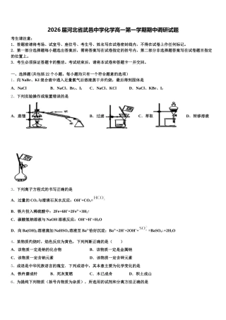 2026届河北省武邑中学化学高一第一学期期中调研试题含解析