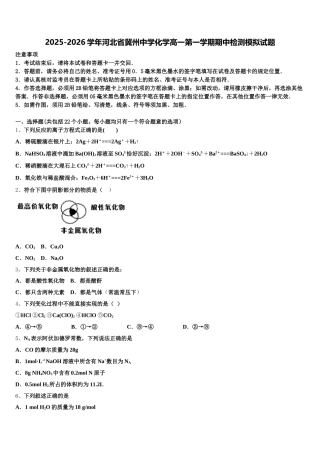 2025-2026学年河北省冀州中学化学高一第一学期期中检测模拟试题含解析