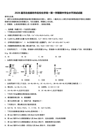 2026届河北省廊坊市名校化学高一第一学期期中学业水平测试试题含解析