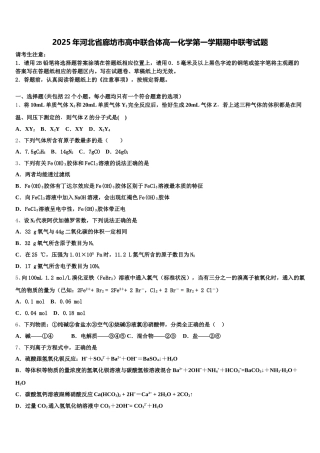 2025年河北省廊坊市高中联合体高一化学第一学期期中联考试题含解析