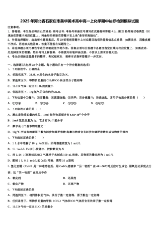 2025年河北省石家庄市美华美术高中高一上化学期中达标检测模拟试题含解析