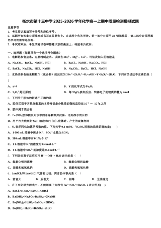 衡水市第十三中学2025-2026学年化学高一上期中质量检测模拟试题含解析