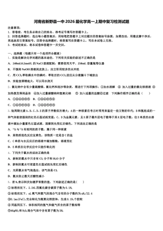 河南省新野县一中2026届化学高一上期中复习检测试题含解析