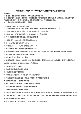 河南省第二实验中学2025年高一上化学期中达标检测试题含解析