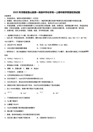 2025年河南省鲁山县第一高级中学化学高一上期中教学质量检测试题含解析