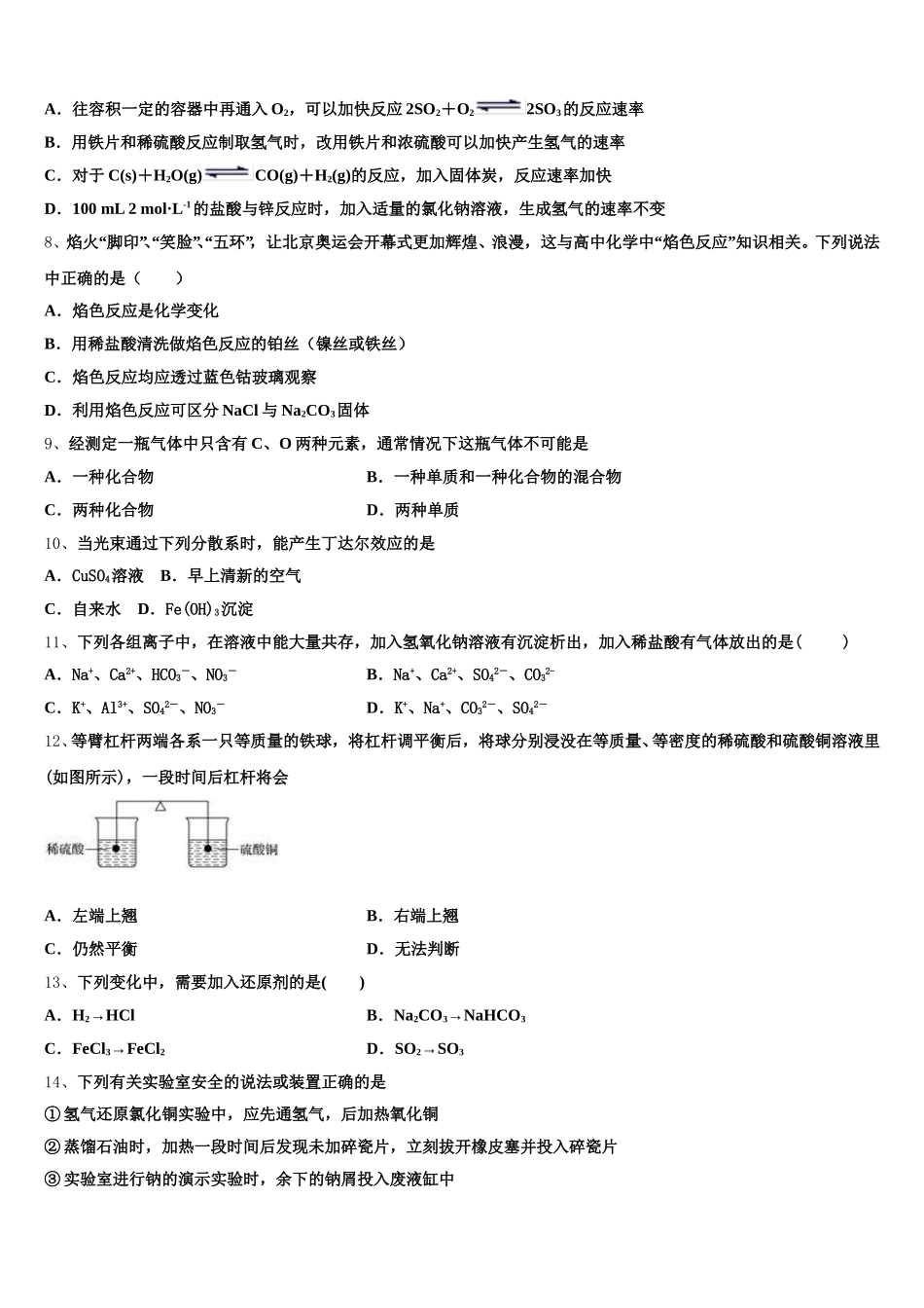 2025年河南省河南师范大学附属中学高一上化学期中统考试题含解析_第2页