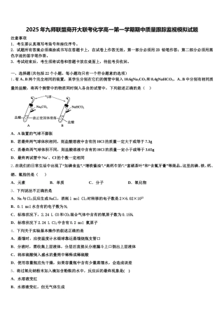 2025年九师联盟商开大联考化学高一第一学期期中质量跟踪监视模拟试题含解析