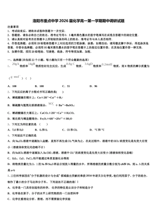 洛阳市重点中学2026届化学高一第一学期期中调研试题含解析