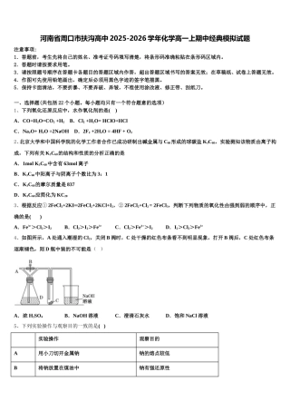 河南省周口市扶沟高中2025-2026学年化学高一上期中经典模拟试题含解析