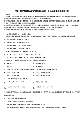 2025年江苏省盐城市田家炳中学高一上化学期中统考模拟试题含解析