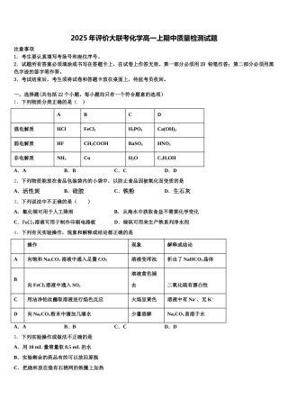 2025年评价大联考化学高一上期中质量检测试题含解析