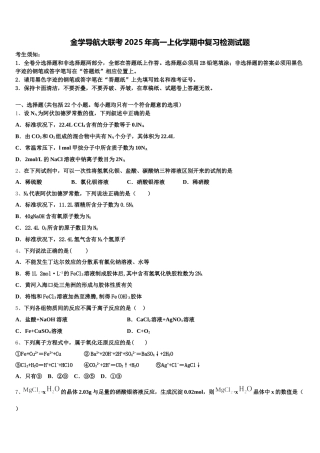 金学导航大联考2025年高一上化学期中复习检测试题含解析