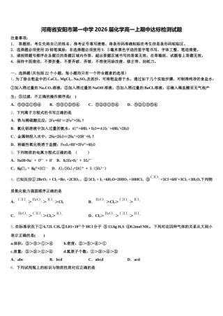 河南省安阳市第一中学2026届化学高一上期中达标检测试题含解析