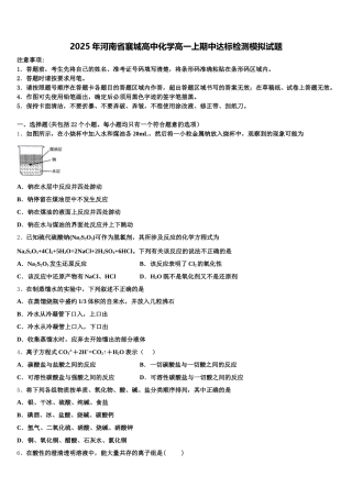 2025年河南省襄城高中化学高一上期中达标检测模拟试题含解析