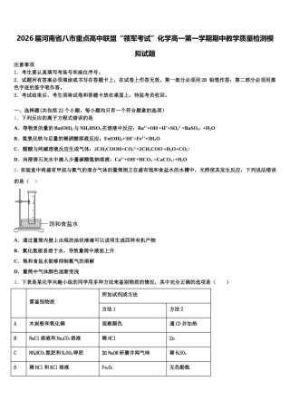 2026届河南省八市重点高中联盟“领军考试”化学高一第一学期期中教学质量检测模拟试题含解析
