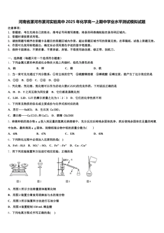 河南省漯河市漯河实验高中2025年化学高一上期中学业水平测试模拟试题含解析