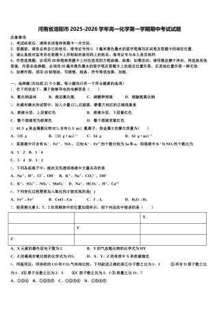 河南省洛阳市2025-2026学年高一化学第一学期期中考试试题含解析