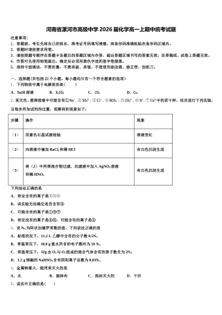 河南省漯河市高级中学2026届化学高一上期中统考试题含解析