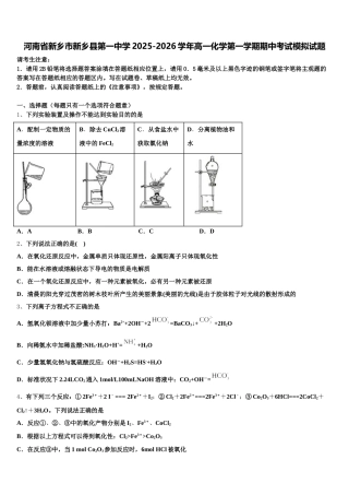 河南省新乡市新乡县第一中学2025-2026学年高一化学第一学期期中考试模拟试题含解析