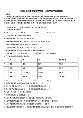 2025年河南省实验中学高一上化学期中监测试题含解析