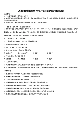 2025年河南省重点中学高一上化学期中联考模拟试题含解析