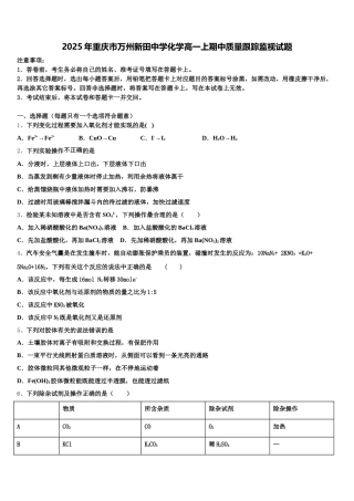 2025年重庆市万州新田中学化学高一上期中质量跟踪监视试题含解析