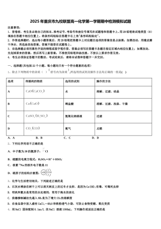 2025年重庆市九校联盟高一化学第一学期期中检测模拟试题含解析