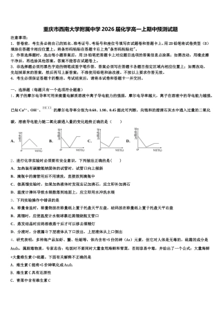 重庆市西南大学附属中学2026届化学高一上期中预测试题含解析