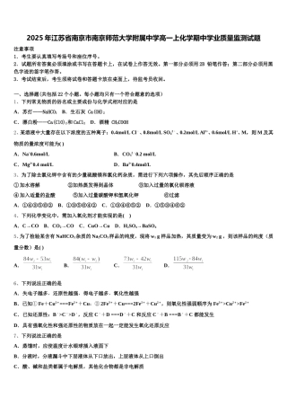 2025年江苏省南京市南京师范大学附属中学高一上化学期中学业质量监测试题含解析