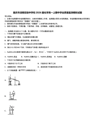 重庆市涪陵实验中学校2026届化学高一上期中学业质量监测模拟试题含解析