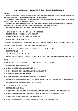 2025年重庆市合川大石中学化学高一上期中质量跟踪监视试题含解析