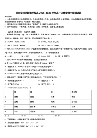 重庆实验外国语学校高2025-2026学年高一上化学期中预测试题含解析