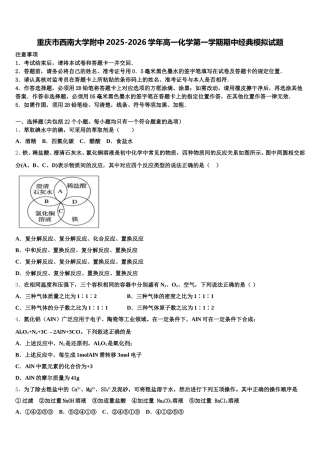 重庆市西南大学附中2025-2026学年高一化学第一学期期中经典模拟试题含解析