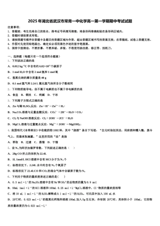2025年湖北省武汉市常青一中化学高一第一学期期中考试试题含解析