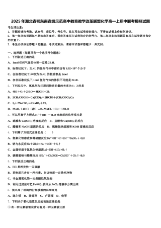 2025年湖北省鄂东南省级示范高中教育教学改革联盟化学高一上期中联考模拟试题含解析