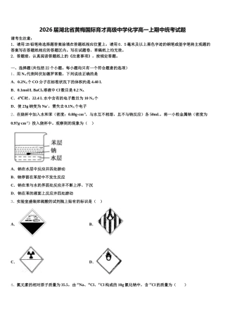 2026届湖北省黄梅国际育才高级中学化学高一上期中统考试题含解析