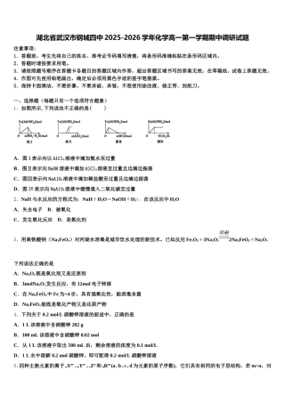 湖北省武汉市钢城四中2025-2026学年化学高一第一学期期中调研试题含解析
