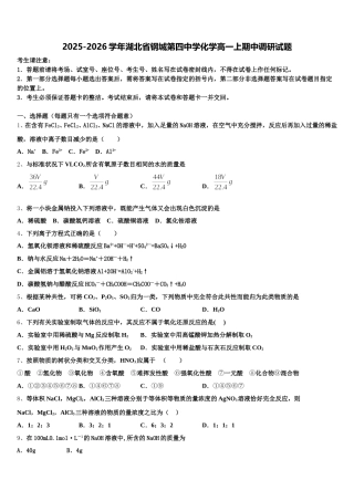 2025-2026学年湖北省钢城第四中学化学高一上期中调研试题含解析