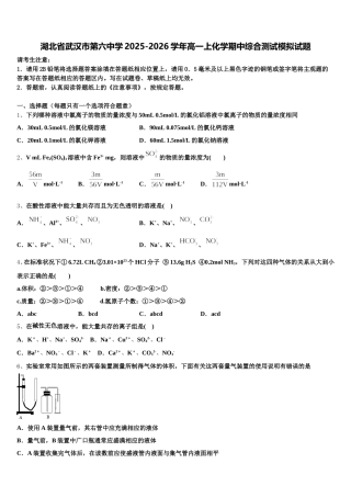 湖北省武汉市第六中学2025-2026学年高一上化学期中综合测试模拟试题含解析